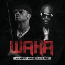 Diamond platnumz sound mp3 diamond platnumz comes through with yet another new song titled sound featuring teni and is right here for your fast download. Download Diamond Platnumz Ft Rick Ross Waka Mp3 Illuminaija