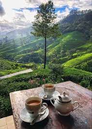Pin By Nora On B Dimineața Coffee World Beautiful Places Coffee And Books