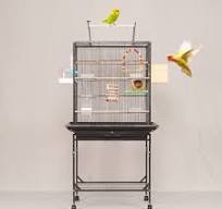 Compra jaulas para pájaros en Home Depot - Soluciones ...