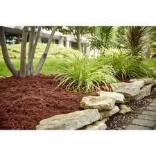 Scotts Florida Select 2 Cu Ft Red Mulch At Lowes Com Mulch Cypress Mulch Florida
