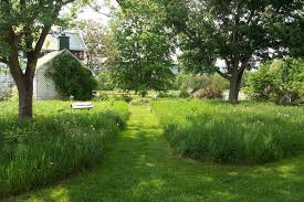 More Sustainable And Beautiful Alternatives To A Grass Lawn Nrdc