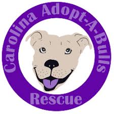 You will meet with adoption staff where they learn about you and your lifestyle before meeting your new pet. Durham Nc Animal Shelters Rescues Chewy Com