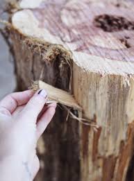 Sale price $349.92 $ 349.92 $ 388.80 original price $388.80 (10% off) free shipping. Diy Tree Stump Side Tables A Beautiful Mess