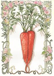 Print Carrot Art Nouveau Style Watercolor Art Chrysanthemum Painting Art Nouveau