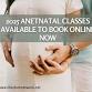 Ashburton Antenatal Class event image