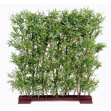 Check spelling or type a new query. Bon A Savoir Sur Le Laurier Artificiel