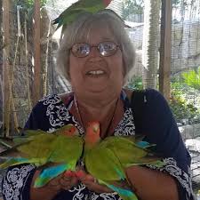 Can anyone tell me who won at the albany parade. We never saw the judges