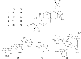 Image result for Olax obtusifolia