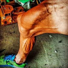 Habrá bastantes repechos a lo largo de la ruta, que a estas alturas de tour pesarán en las piernas. Ciclismo Janez Brajkovic Muestra El Impactante Estado De Sus Piernas Tras Su Sancion Por Dopaje Marca Com