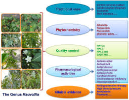 Image result for Rauvolfia mombasiana