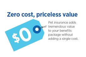 Dog insurance starts at $15 a month; Benefits Nationwide Pet Insurance