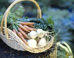 Planning the layout of your vegetable garden is an important first step. 10 Easiest Vegetables To Grow In The Home Garden The Old Farmer S Almanac