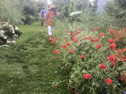 How to use flame weeders How To Get Rid Of Garden Weeds Naturally The Old Farmer S Almanac