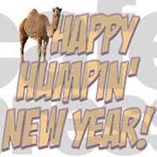 Happier than a camel on wednesday christmas remix is now available. Happy Humpin New Year 2014 Hump Day Camel Banner By Oneofakinddesigns Cafepress