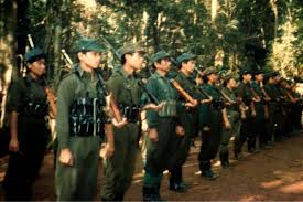 Would have been further enhanced with some sort of citation or referencing system for the numerous. The Forgotten Malay War How Communists Fought Against The British Commonwealth