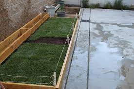 Grass alongside your concrete can over grow, causing the root mat to develop and thicken, growing over and almost consuming the concrete (happens you can, but shouldn't! Planting Grass On Concrete Part 1 Changing My Destiny