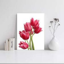 We did not find results for: Hiasan Dinding Walldecor Rumah Bunga Tulip Merah Terbaru Agustus 2021 Harga Murah Kualitas Terjamin Blibli