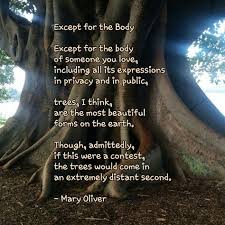 Except For The Body Mary Oliver Mary Oliver Poems Expressions