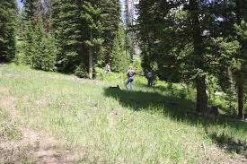 INVESTIGATION TEAM REPORT