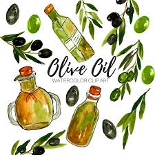 Watercolor Clip Art Olive Oil Clip Art Olive Clip Art Etsy Clip Art Watercolor Clipart Scrapbook Paper Flowers