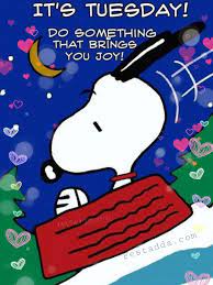 Tuesday morning is a time to reflect upon the words you use; Tuesday Morning Funny Quotes Happy Tuesday Quotes Happy Tuesday Images Tuesday Quotes Good Morning