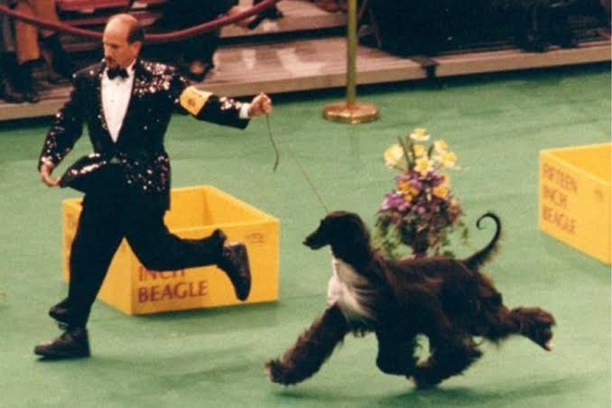 Michael Canalizo Talks 'Best in Show' Movie 25th Anniversary