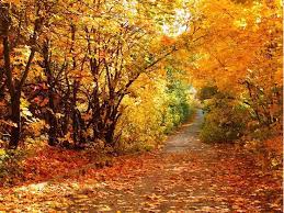 Autumn Scenery Desktop Wallpapers Beautiful Autumn Scenery Desktop Scenery Wallpaper Autumn Scenery Autumn Phone Wallpaper