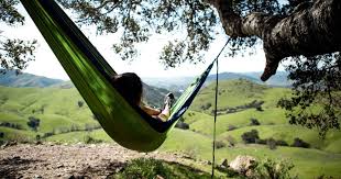 A fish market (mercado negro) has been open in the city since 1958. 14 Reasons To Drive To San Luis Obispo Ca Museums Parks Breweries More Thrillist