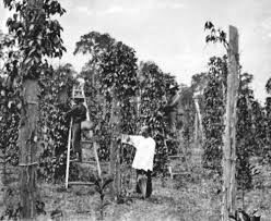 Perniagaan saya telah dimusnahkan, dan dalam proses itu saya kehilangan anak saya. Kisah Sistem