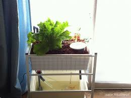 Pin On Aquaponics