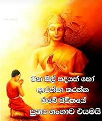 We did not find results for: à¶¯à·„à¶¸ à¶šà¶» à¶« Dahamkarunu Twitter