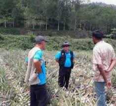 Projek berdaya maju dan menguntungkan. Anim Agro Technology Pajakan Tanah Apa Dia
