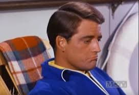 Petticoat Junction Star Mike Minor Dies