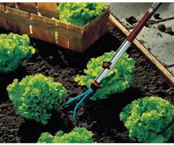 Bequem den boden im garten auflockern » grubber von alternate ➜ top auswahl & preise ➜ schneller versand » jetzt kaufen. Gardena Combisystem Grubber 3166 20 Ab 8 19 Preisvergleich Bei Idealo De