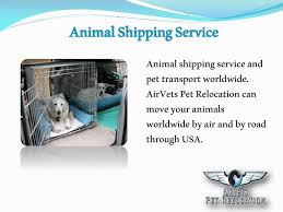 We specialize in international pet transportation and ship to over 85 countries. Ppt Animal Shipping Service Powerpoint Presentation Free Download Id 7449741