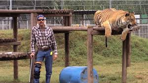 A bizarre true crime story you have to see to believe, tiger king is a messy and captivating portrait of obsession gone. New Episode Of Tiger King Extra Episode