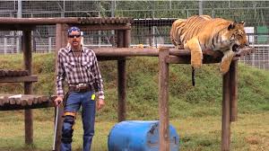 The flamboyant animal enthusiast was the owner of. New Episode Of Tiger King Extra Episode