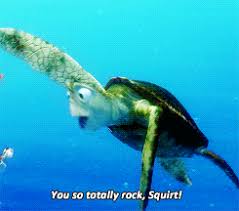 See more ideas about baby sea turtles, baby turtles, sea turtle. Crush Finding Nemo Meme Page 1 Line 17qq Com