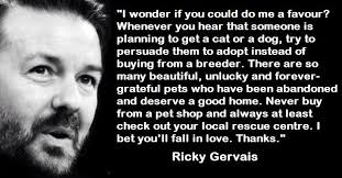 Robert Warrender (@robwarrender)