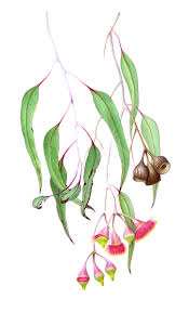 Pin On Watercolor Art