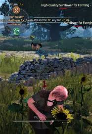 Best seller in juniors' dresses +22. Eminent S Bdo Farming Guide Black Desert Online Grumpyg