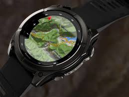 Trend Google: fenix 9