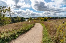 140+ Fall Colours In Orangeville Ontario Canada Stock Photos, Pictures &  Royalty-Free Images