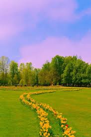 Check spelling or type a new query. Flowers Green Aesthetic Images Search Images On Everypixel