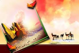 15 new 2020 wedding album psd cover design. Album Wedding Wallpapers Wallpaper Cave