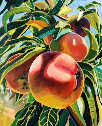 Peaches Print Sari Not Sorry Art From Sari Shryack Art Art Painting Peach Art