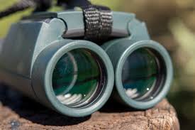 Coming from the north will take a right out of the exit and. The Best Binoculars For Birds Nature And The Outdoors In 2021 Reviews By Wirecutter