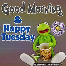 Good morning tuesday funny images and quotes. Pin On Tuesday