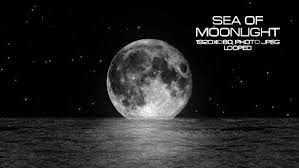 Sea Of Moonlight Vj Loops Moonlight Loop Cinematic Trailer