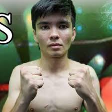 Max Higgins vs. Wisner Fleuricin, Flex Fights